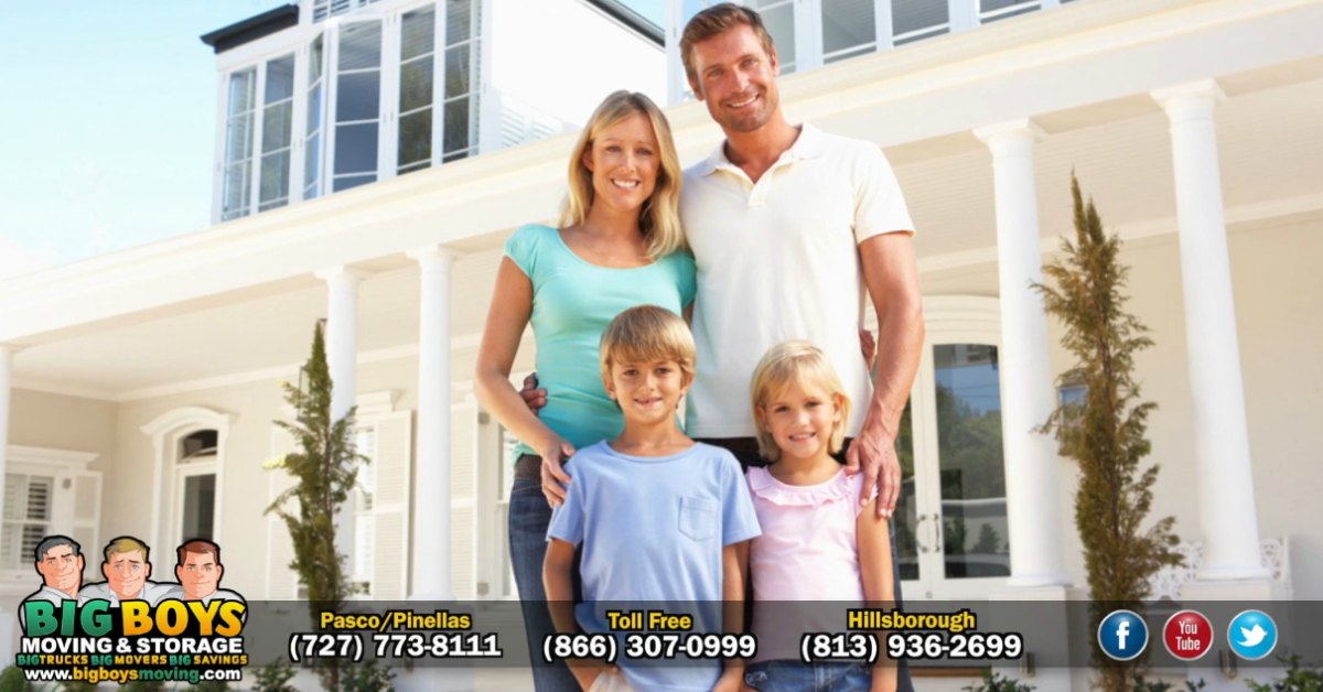 Wesley Chapel Storage Dandk Organizer