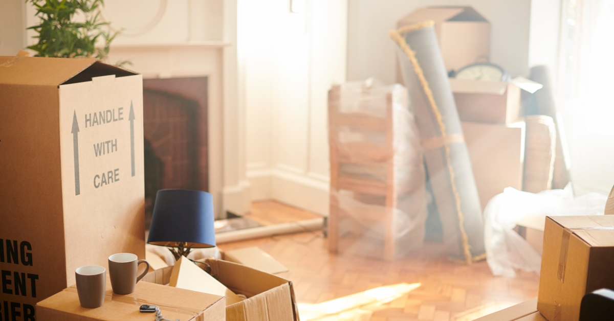 5 Surprising Ways Tampa’s Trusted Movers Can Make Your Relocation Effortless