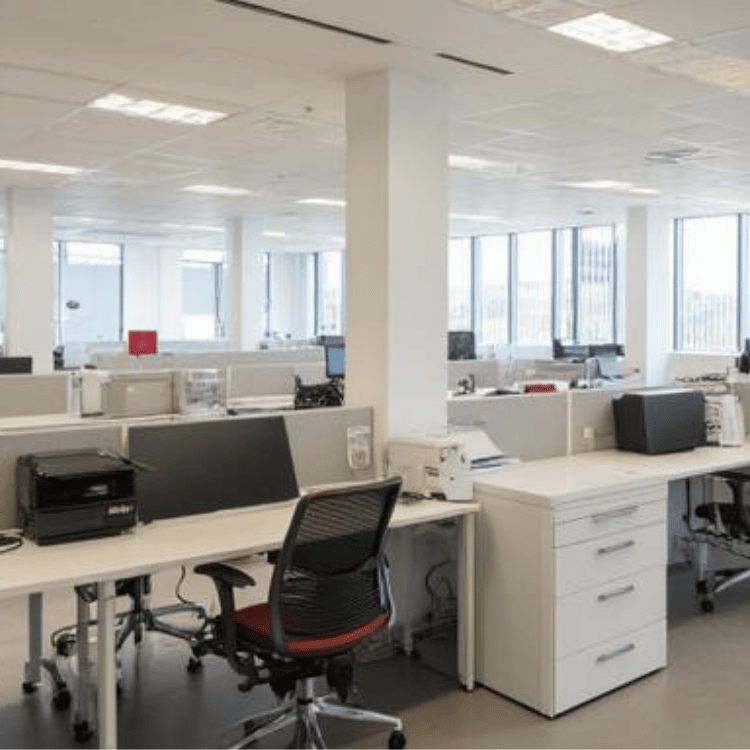 best commercial movers Tampa